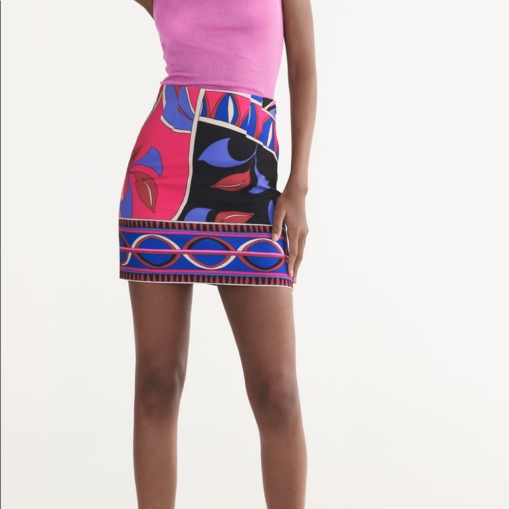 Zara Printed Dart Skirt